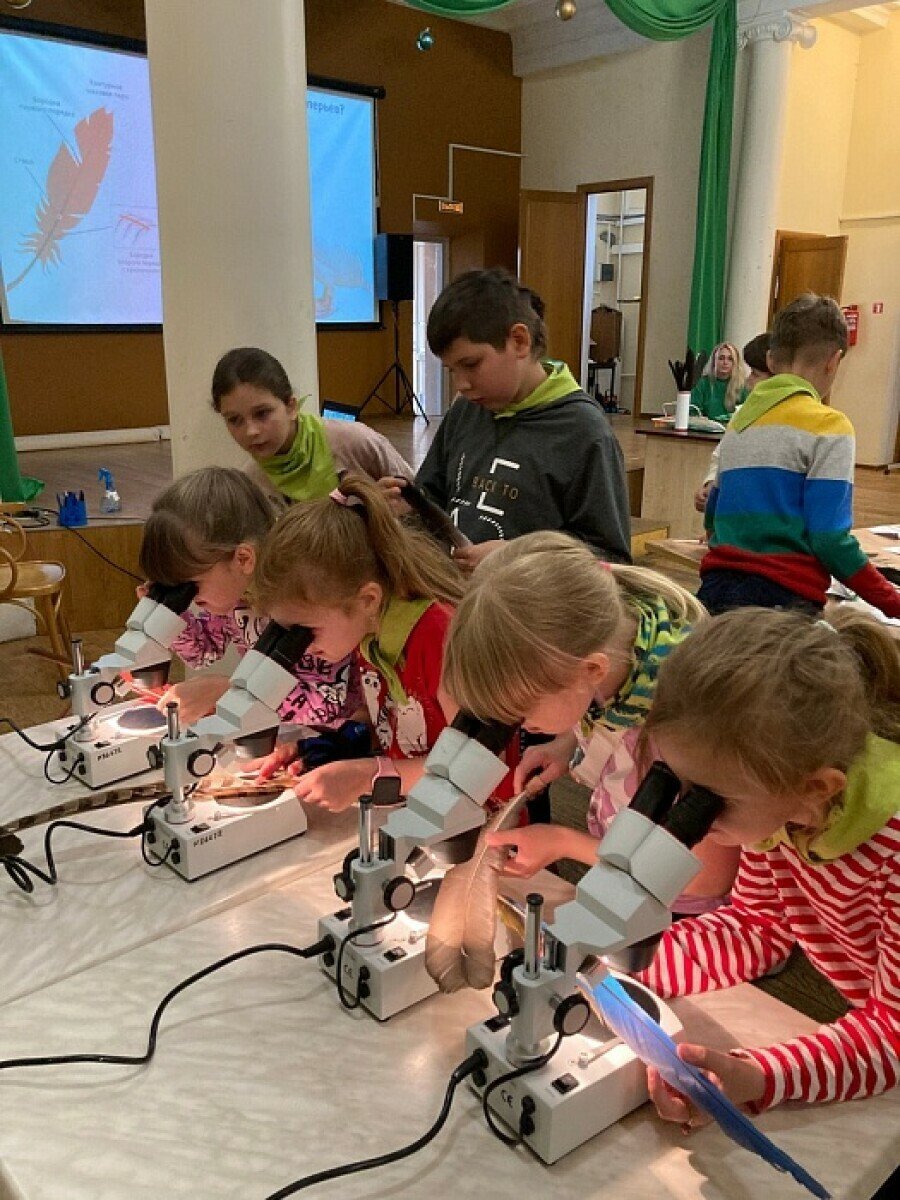 Детский лагерь