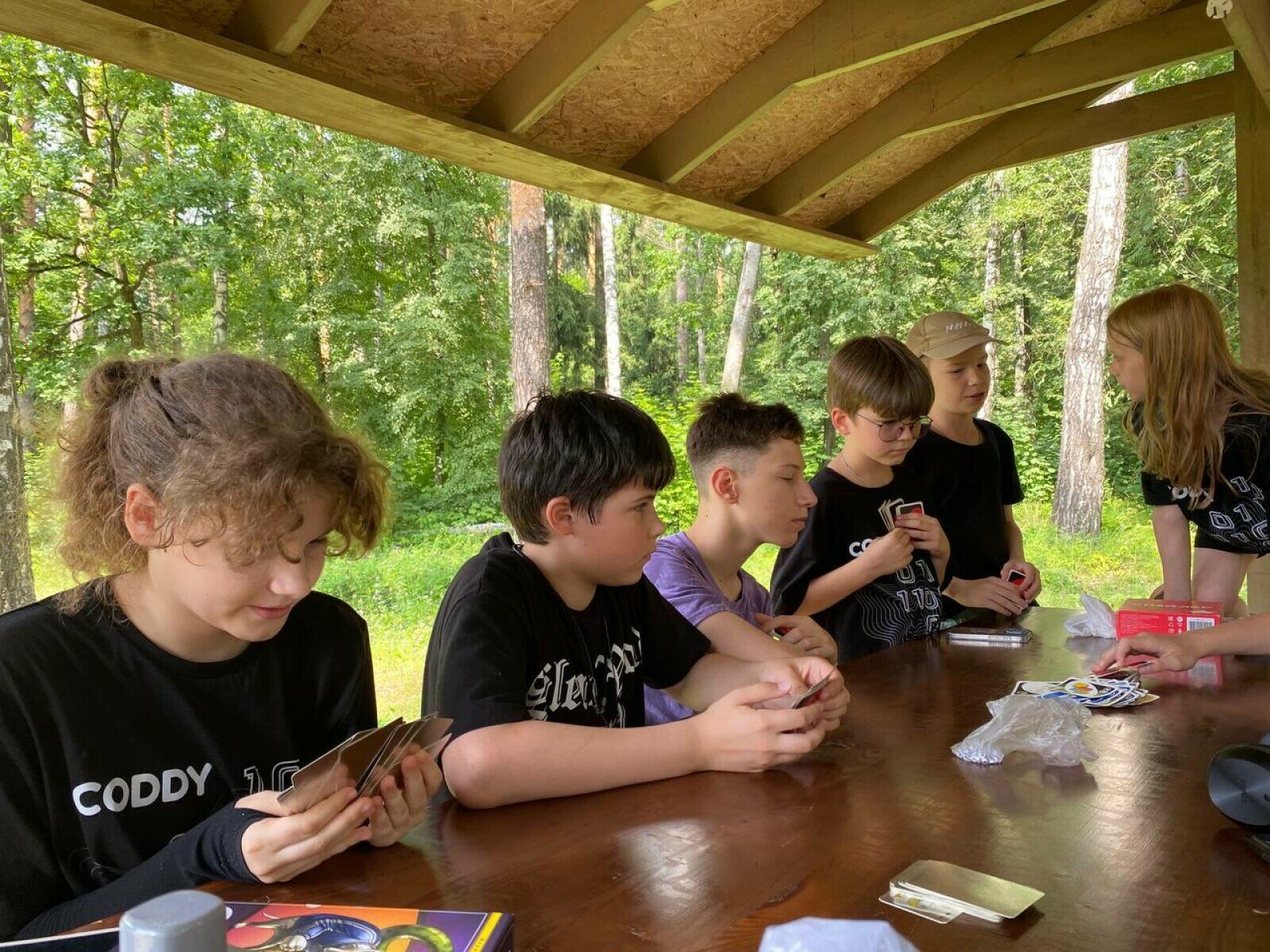 CODDY CAMP - программирование и дизайн – IT и математический лагерь, Московская область, Орехово-Зуевский район. Путевки в детский лагерь на 2025 год, фото программы 3