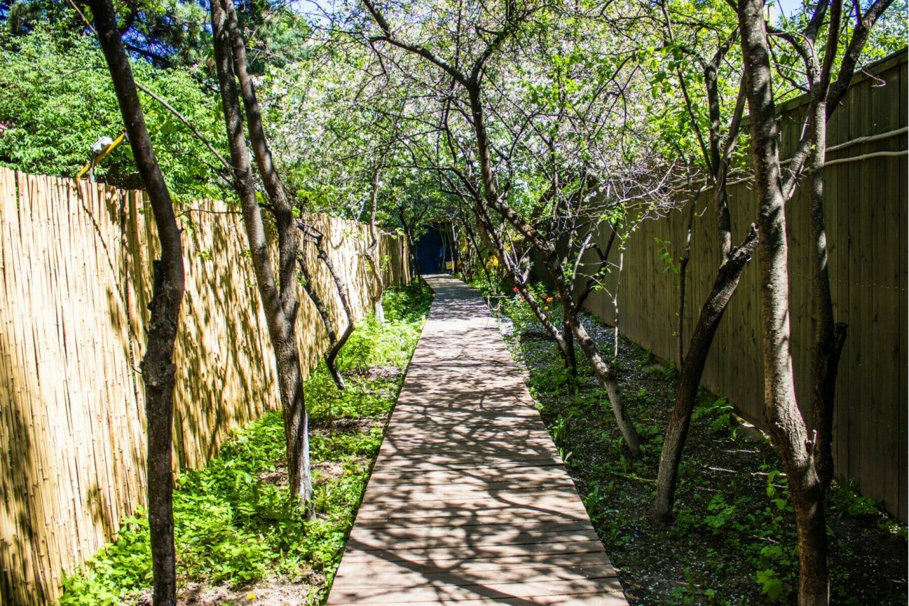 Английский лагерь дневного формата Seymour House – городской лагерь, Москва, пос. Сокол. Путевки в детский лагерь на 2025 год, фото размещения 3