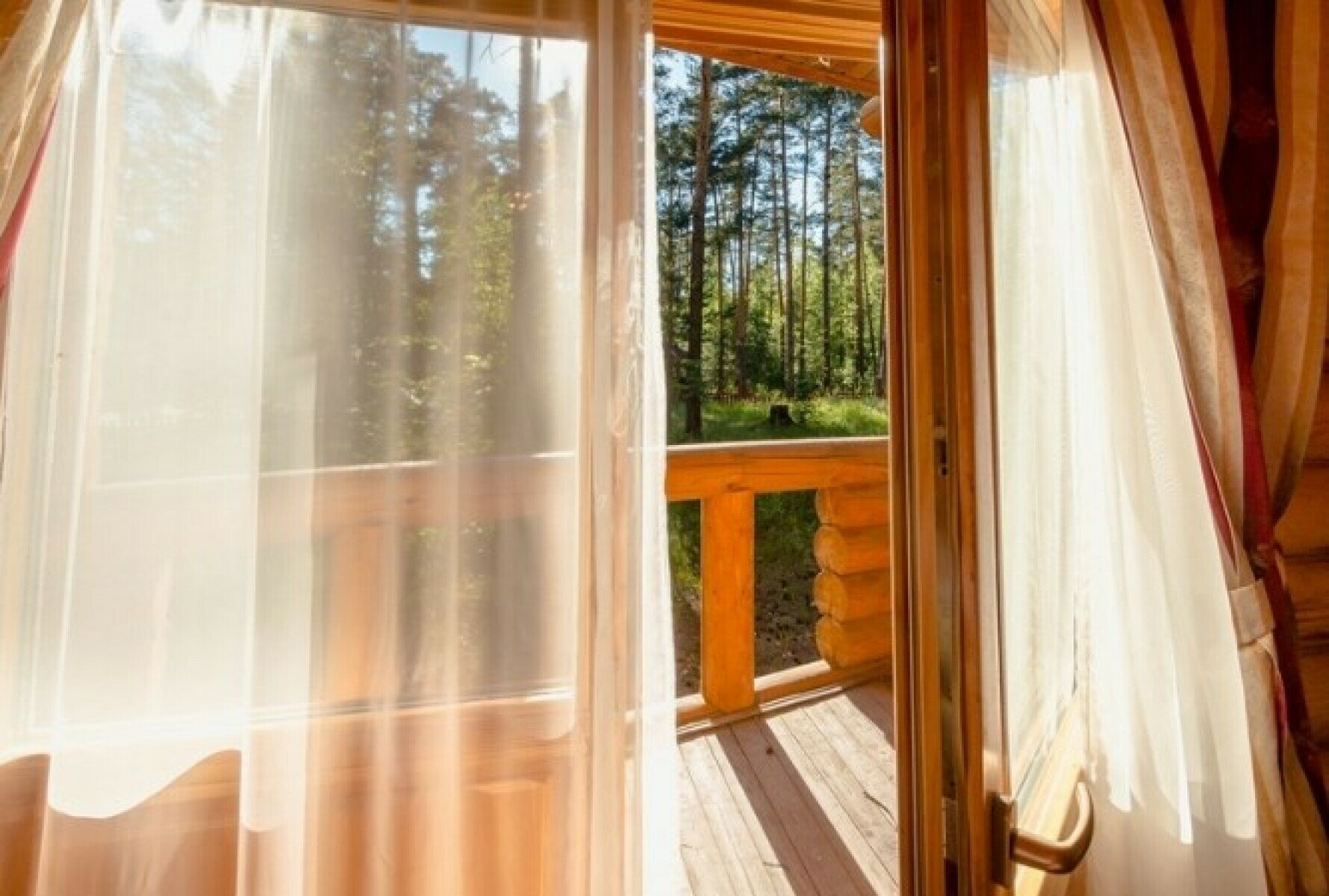 Каникулы от сети школ Cyber Class – IT и математический лагерь, Владимирская обл., Петушинский р-н. Путевки в детский лагерь на 2025 год, фото размещения 3