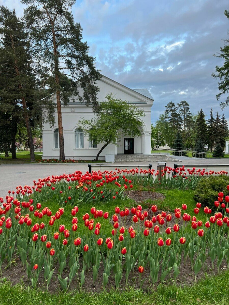 Английский хобби клуб Городские каникулы – городской лагерь, Москва, ВДНХ. Путевки в детский лагерь на 2025 год, фото размещения 14
