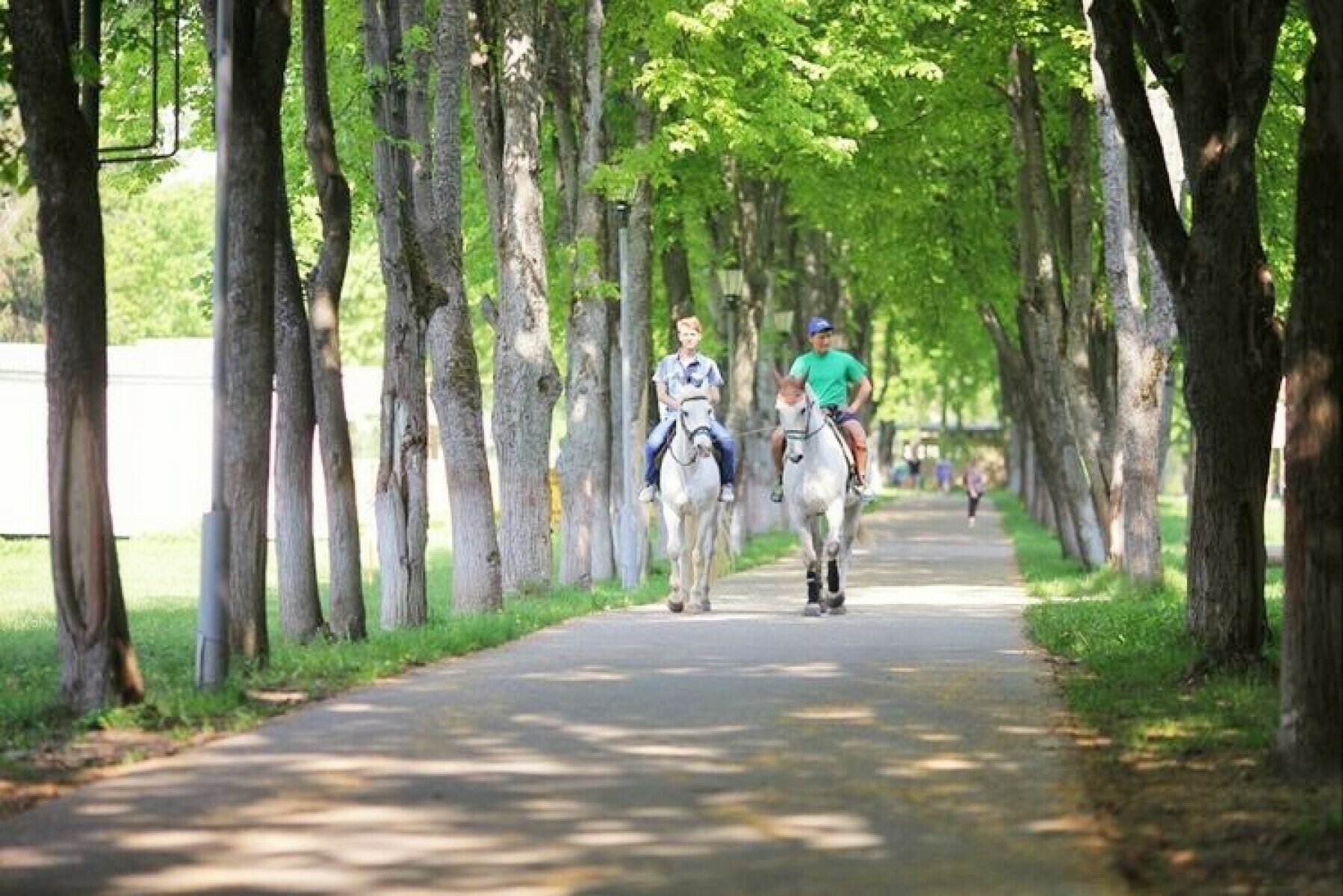 Федерация. Военно-спортивный лагерь – военно-патриотический лагерь, Московская обл., Подольский р-н. Путевки в детский лагерь на 2025 год, фото программы 13