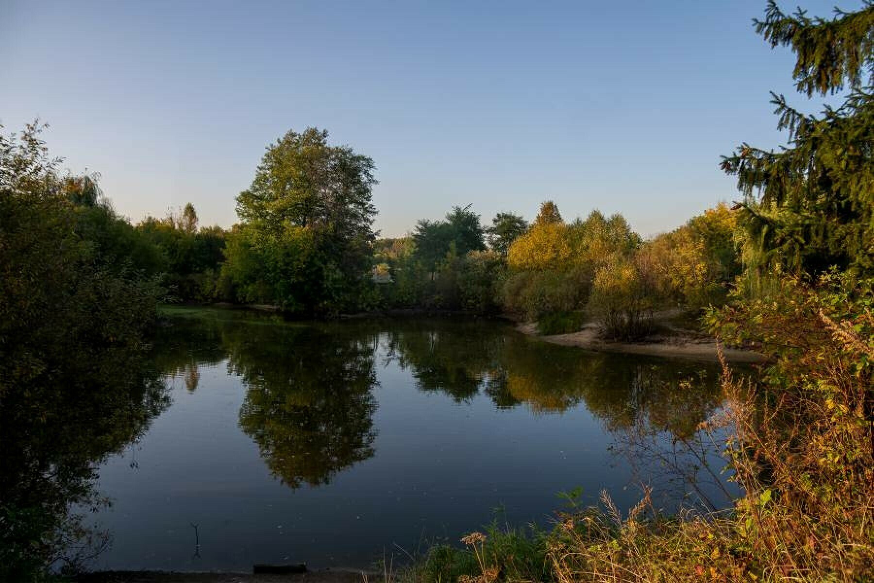 Каникулы от сети школ Cyber Class – IT и математический лагерь, Владимирская обл., Петушинский р-н. Путевки в детский лагерь на 2025 год, фото размещения 14