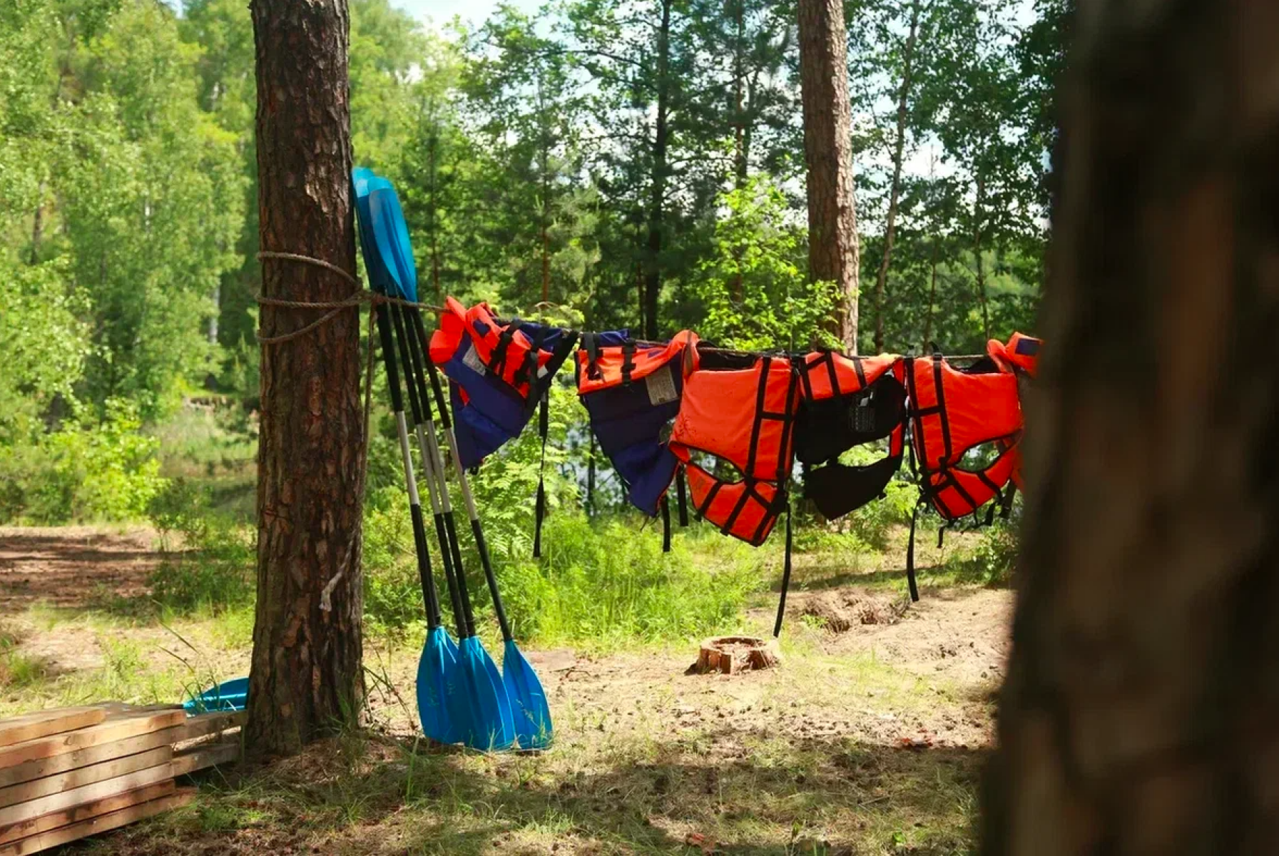 Terra Nostra Wild – туристический лагерь, Московская обл., Шатура. Путевки в детский лагерь на 2025 год, фото программы 6