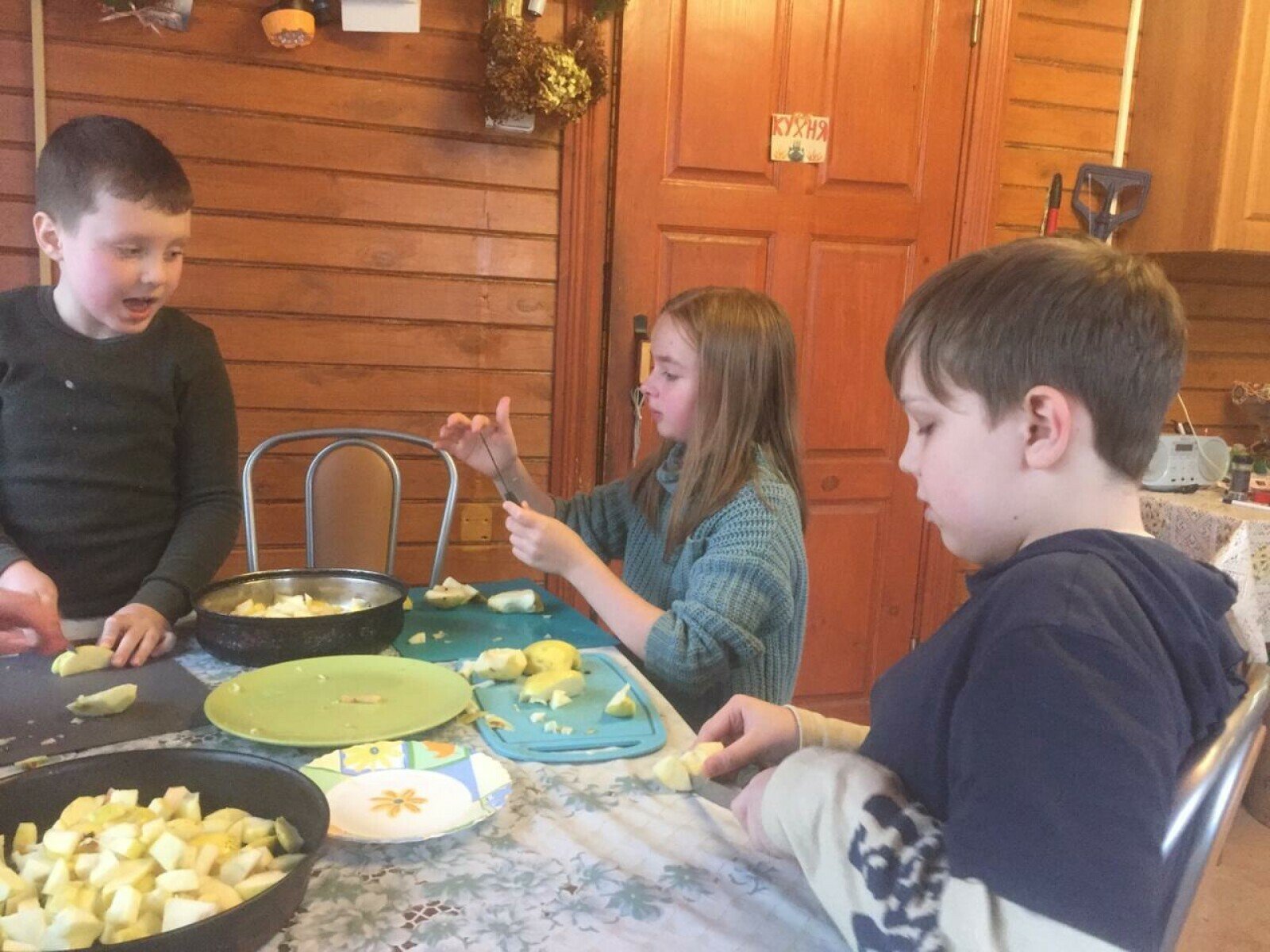 Лагерь Теремок в Подмосковье, Чеховский район – путевки на 2025 год, фото питания 1