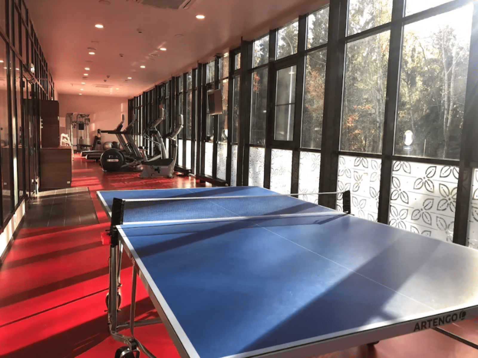 Скандинавская школа. Hilton Garden Inn – языковой лагерь, Московская область, Истринский район. Путевки в детский лагерь на 2025 год, фото размещения 6