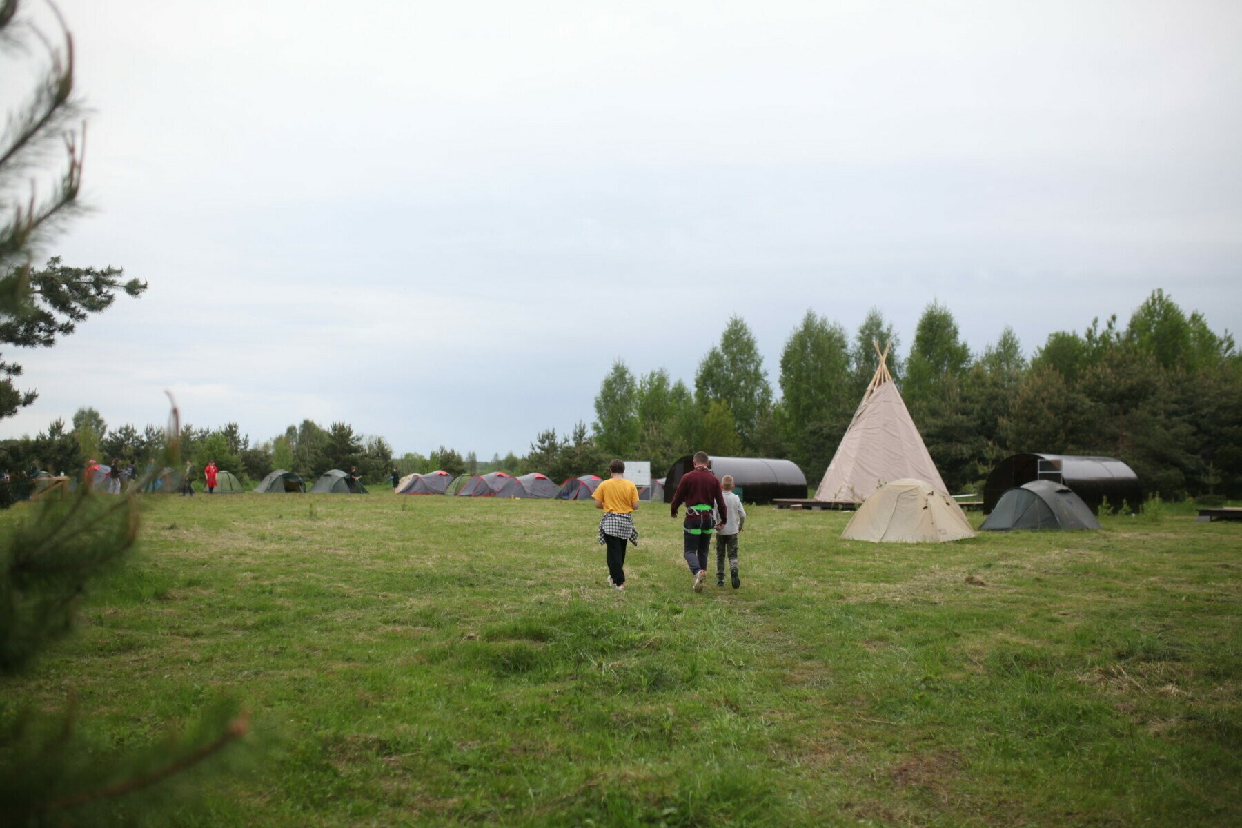 Terra Nostra Wild – туристический лагерь, Московская обл., Шатура. Путевки в детский лагерь на 2025 год, фото размещения 4