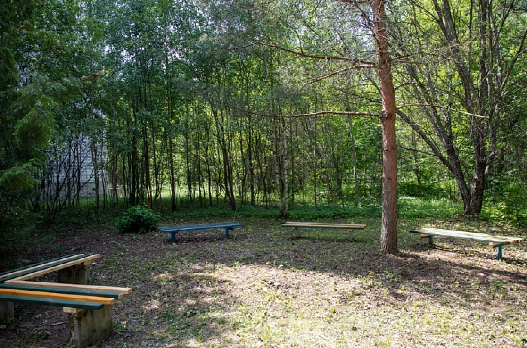 VIL Camp Восходящие звезды – творческий лагерь, Московская обл., Ногинский р-н. Путевки в детский лагерь на 2025 год, фото размещения 13