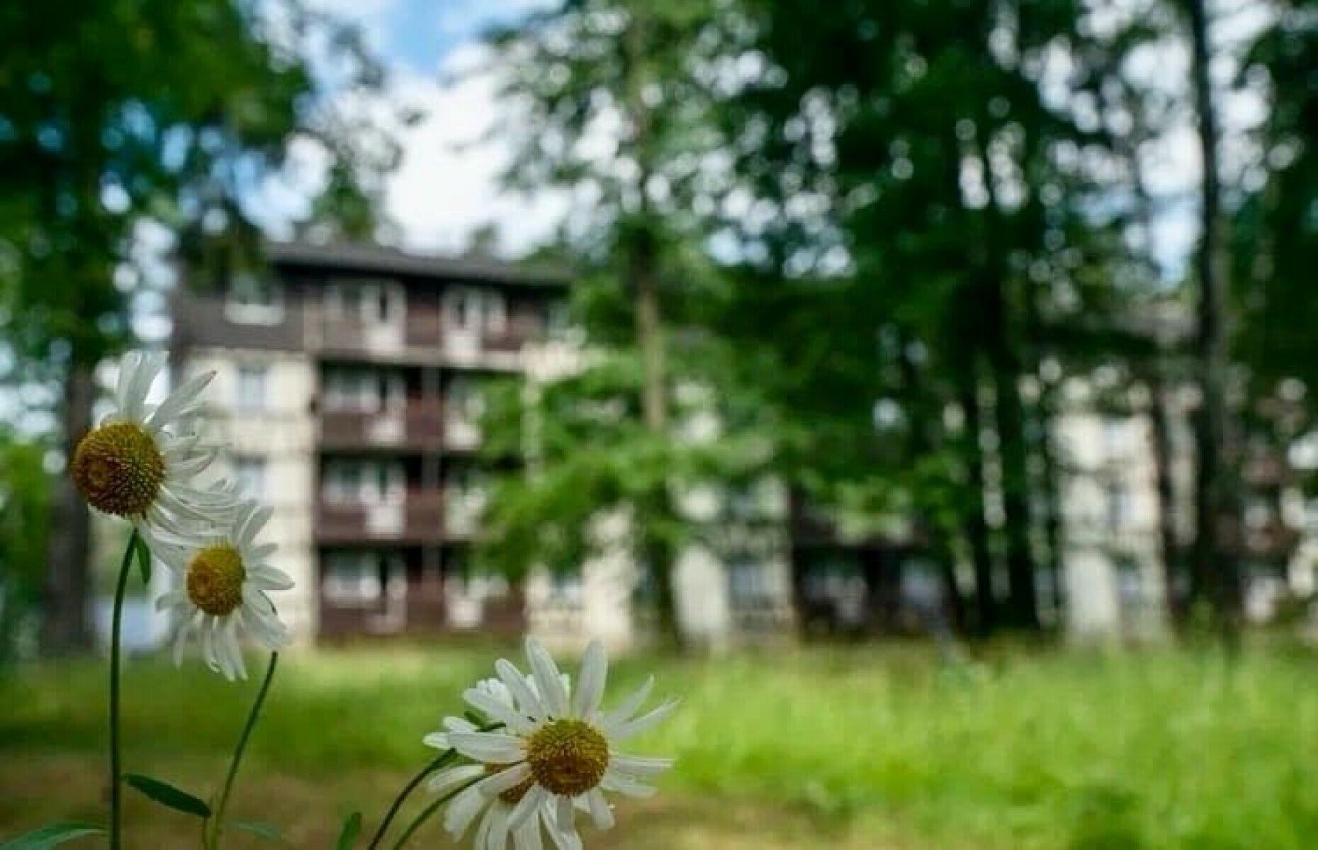 Комок.Teens – профориентационный лагерь, Московская обл., Серпухов. Путевки в детский лагерь на 2025 год, фото размещения 4