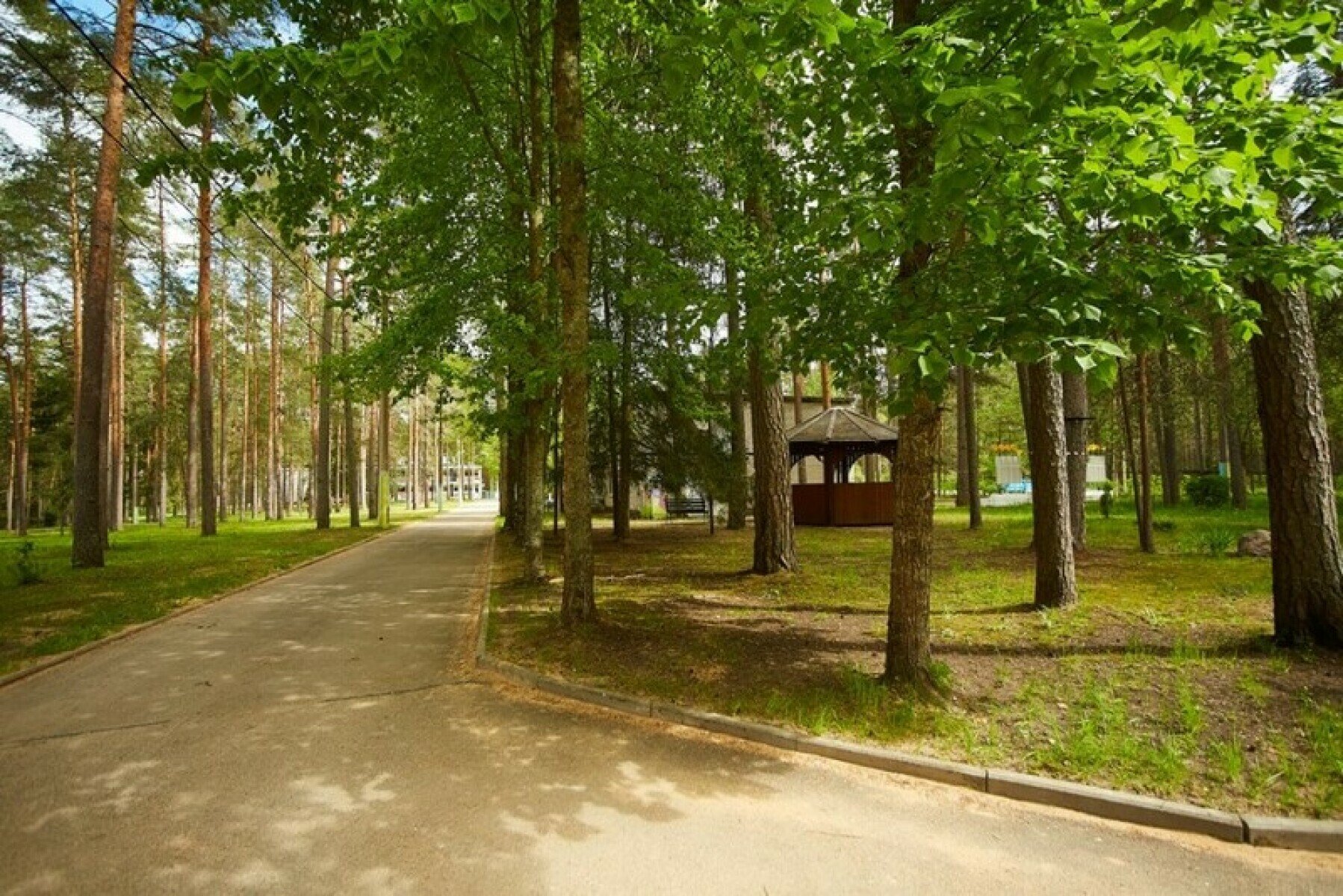 Пифагорка в ДОЛ Восход – творческий лагерь, Ленинградская область, Лужский район. Путевки в детский лагерь на 2025 год, фото размещения 10