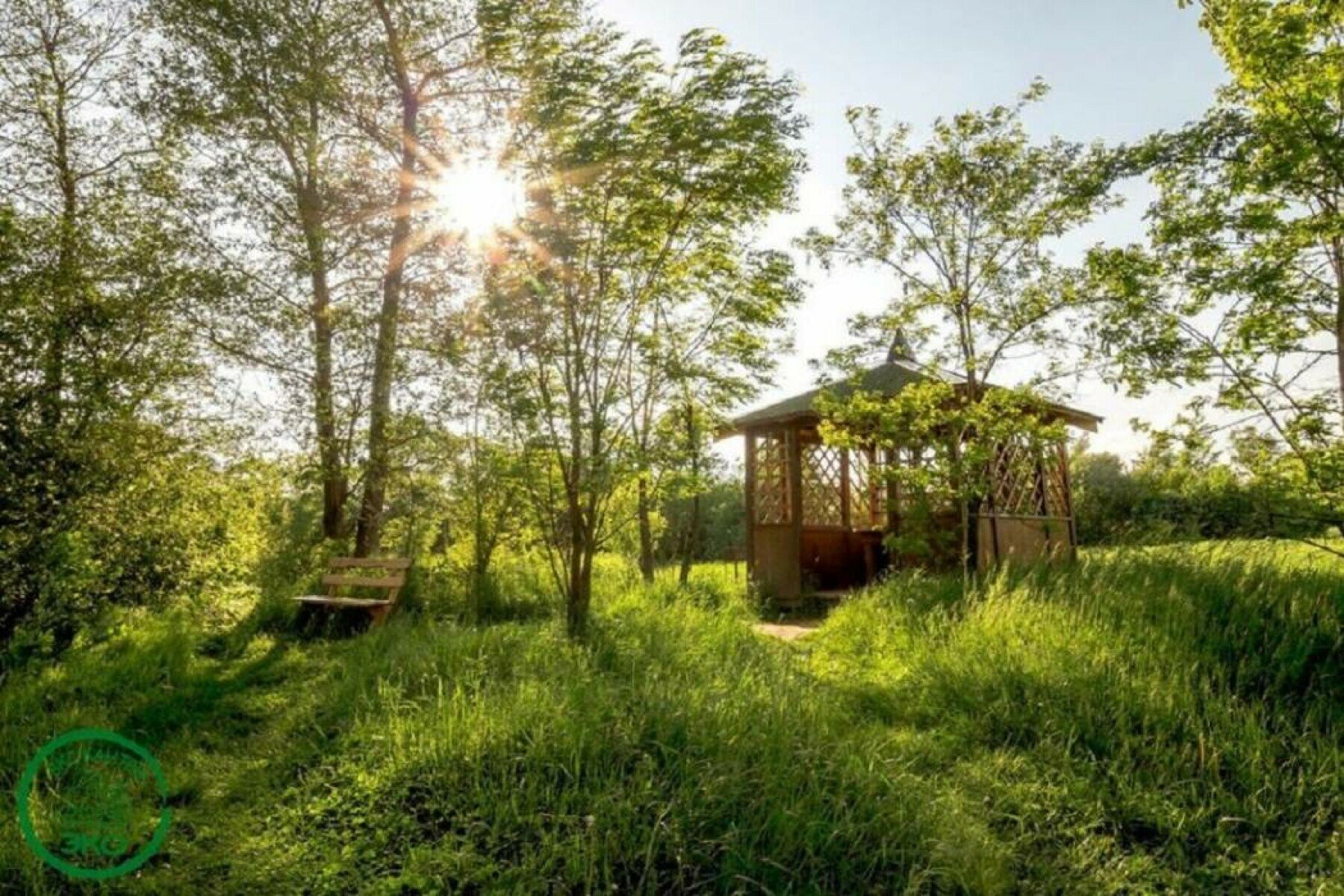 Каникулы от сети школ Cyber Class – IT и математический лагерь, Владимирская обл., Петушинский р-н. Путевки в детский лагерь на 2025 год, фото размещения 12