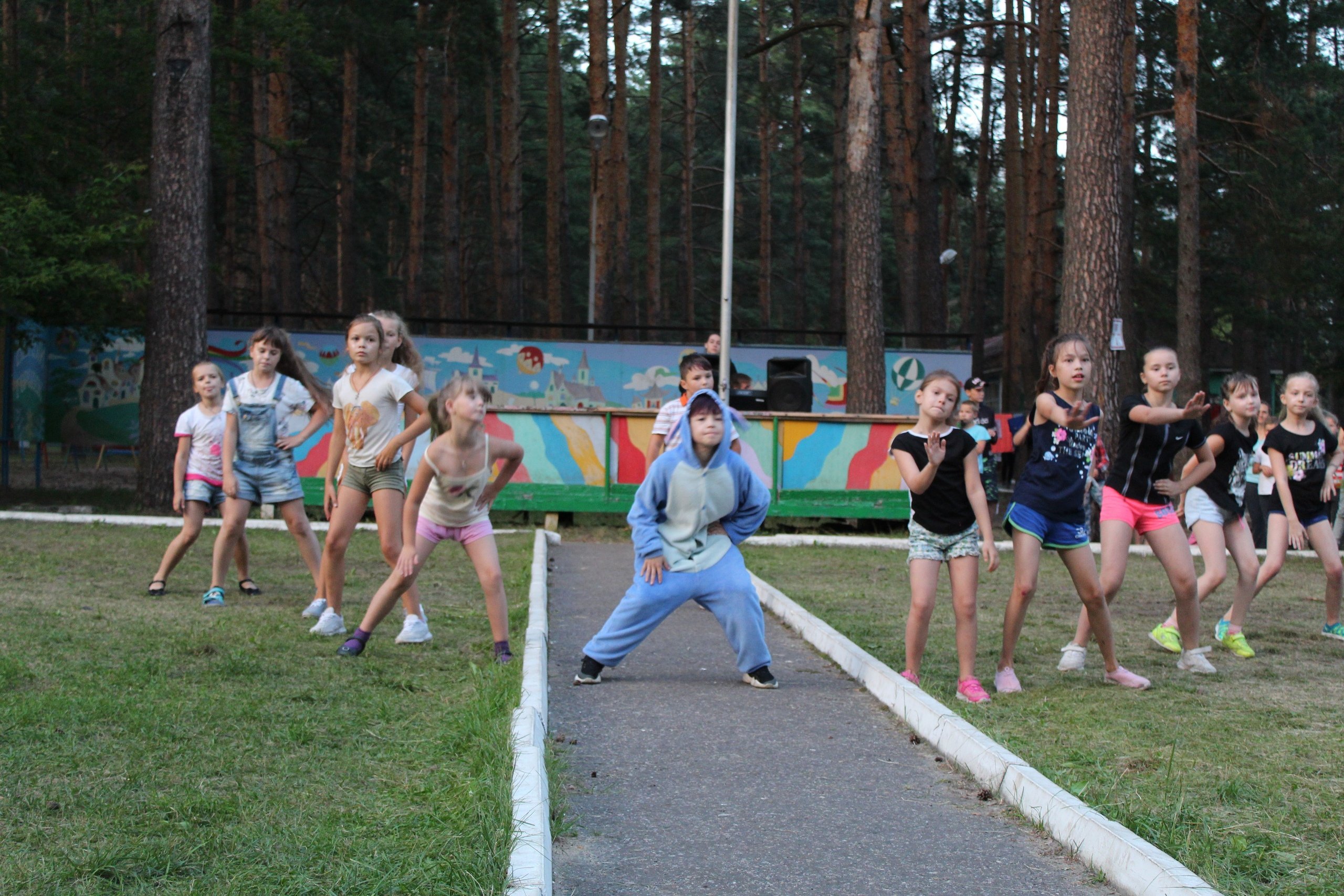 Белый городок лагерь. Белый городок Муром лагерь. Лагерь белый городок 2014. Городок лагерь Омск.