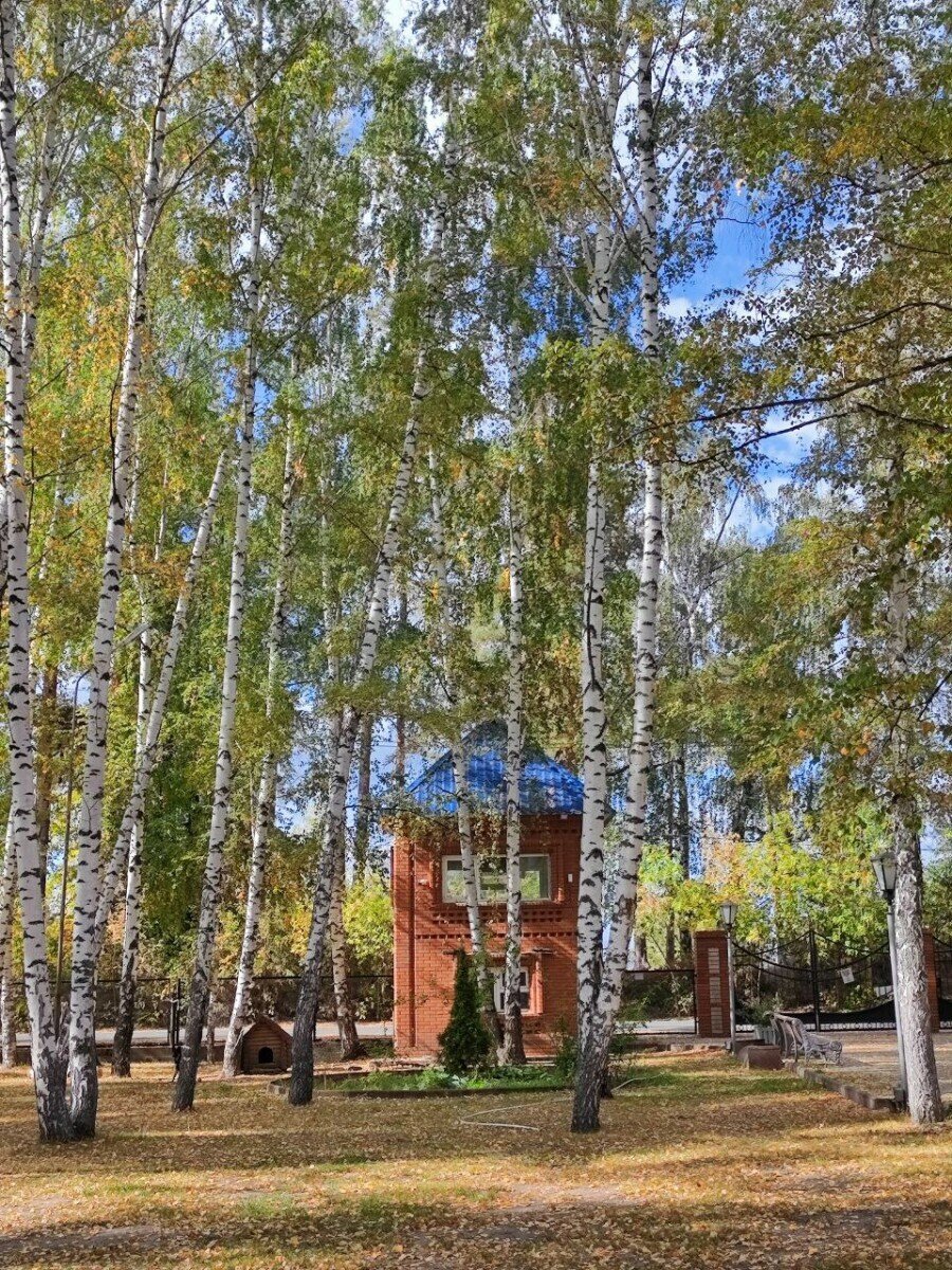 Профи каникулы. Лагерь Зеленые каникулы – профориентационный лагерь, Республика Татарстан, д. Матюшино. Путевки в детский лагерь на 2025 год, фото размещения 8