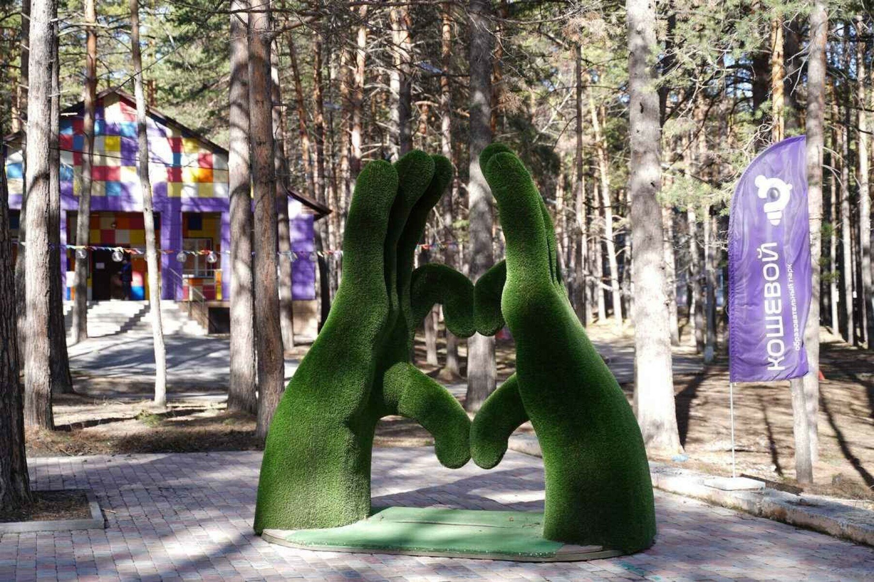 JETCamp – IT и математический лагерь, Новосибирская область, Бердск. Путевки в детский лагерь на 2025 год, фото размещения 7