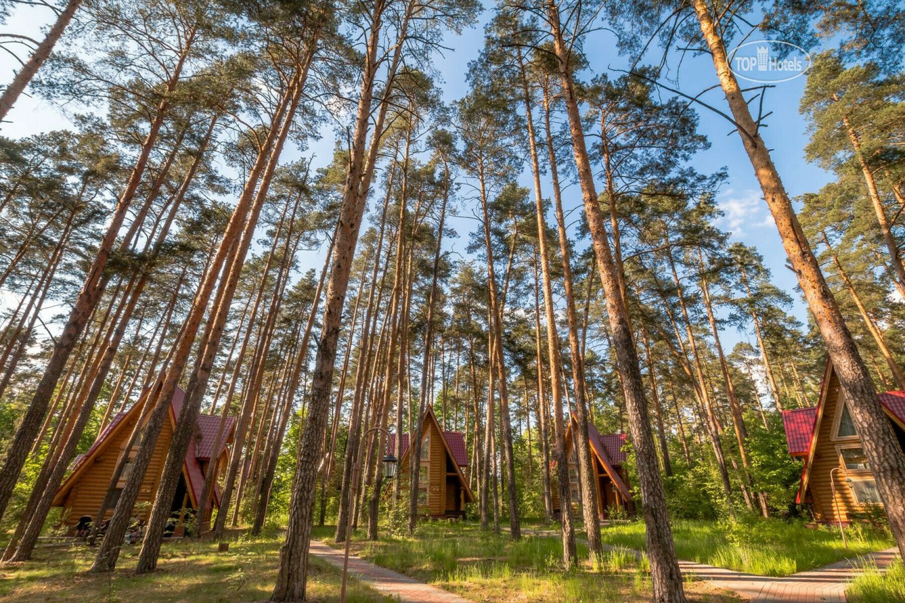 Каникулы от сети школ Cyber Class – IT и математический лагерь, Владимирская обл., Петушинский р-н. Путевки в детский лагерь на 2025 год, фото размещения 11