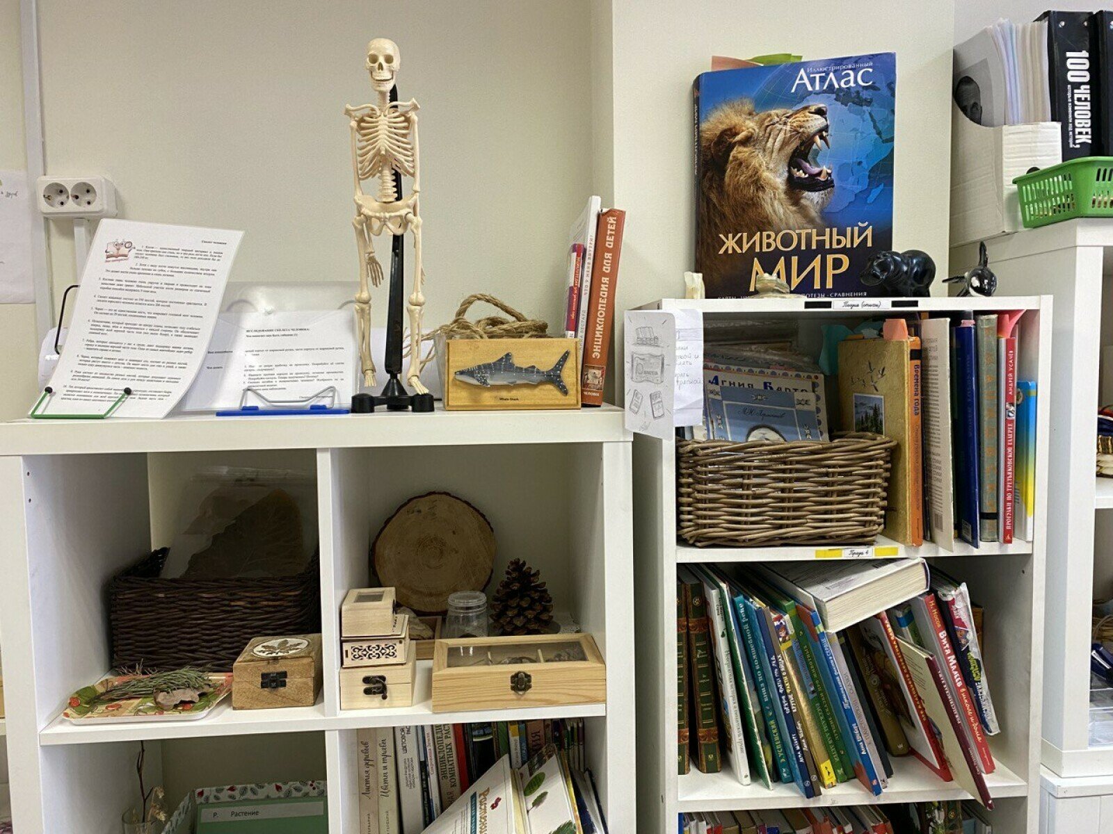 Каникулы PRO – городской лагерь, Москва, м. Университет. Путевки в детский лагерь на 2025 год, фото размещения 6