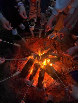 Детский лагерь «Wisteria Camp», Орехово-Зуево - Россия, Московская обл, г Орехово-Зуево, ул Исаакиевское Озеро, д 1, купить путевку