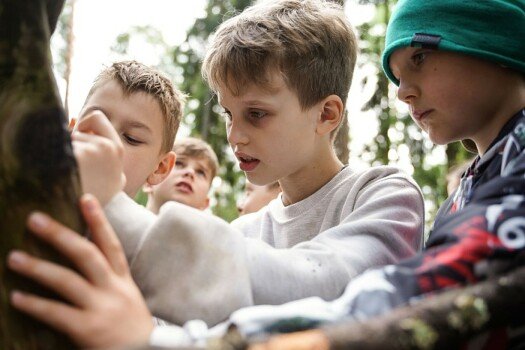 «Живая Легенда» Лавка Чудес, Пушкино