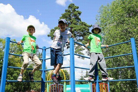 Загадки кроличьей норы