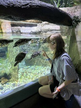 Детский лагерь «IP RUSSIA», Дубай - ОАЭ, Дубай, купить путевку