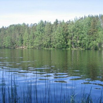 Детский лагерь