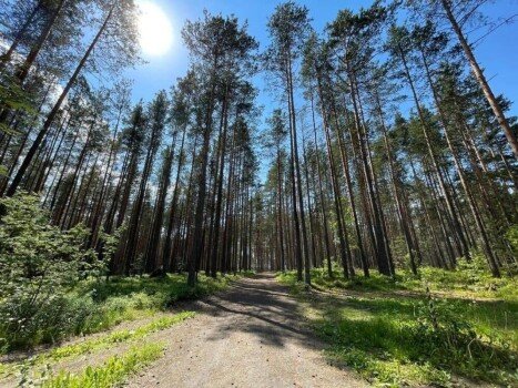 Детский лагерь
