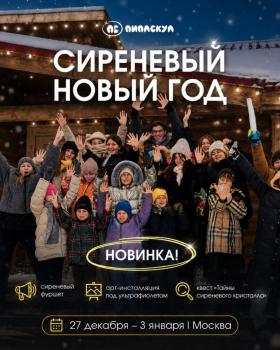 Детский лагерь СИРЕНЕВЫЙ НОВЫЙ ГОД - ПИПЛСКУЛ - Владимирская область, Петушинский муниципальный округ, СНТ Сосновый Бор, Центральная улица, купить путевку