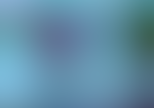 Лагерь «Самый умный», Ленинградская область