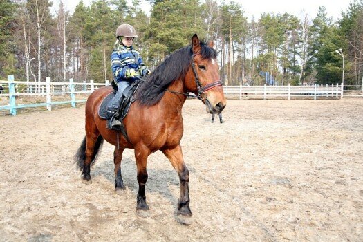 «BKC camp» Отдых+English, Владимирская область