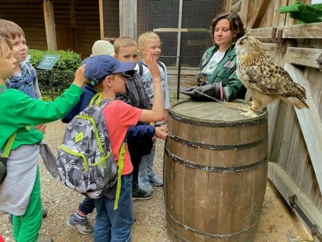 Робинзонада. Музейная анималия