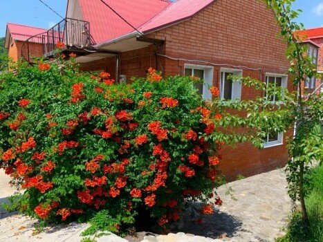 Детский лагерь