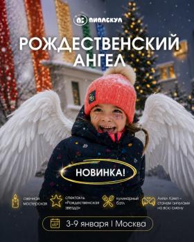 Детский лагерь РОЖДЕСТВЕНСКИЙ АНГЕЛ - ПИПЛСКУЛ - Владимирская область, Петушинский муниципальный округ, СНТ Сосновый Бор, Центральная улица, купить путевку