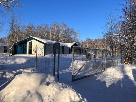 Детский лагерь «Я звезда», выезд из Москвы в Казань - , купить путевку