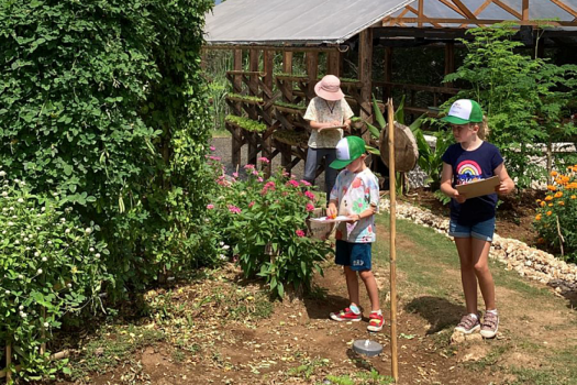 Детский лагерь «Каникулы на Бали с Компьютерной Академией ТОП», Индонезия - Индонезия, Бали, купить путевку