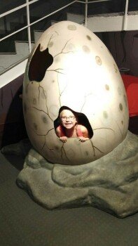 Живая система