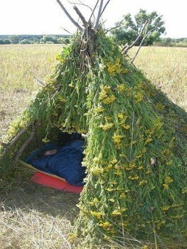 Детский лагерь