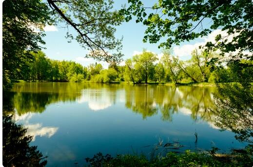 Лагерь «МИРТ», Санкт-Петербург