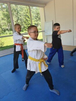 Детский лагерь «Белый Лев», Ленинградская область - Ленинградская область, Курортный район, купить путевку