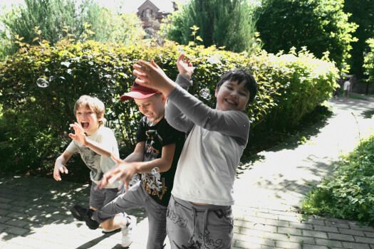 Детский лагерь «Маугли Ленд», Москва - г. Москва, ул. Красная Пресня, д. 4А, купить путевку