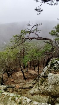 Детский лагерь