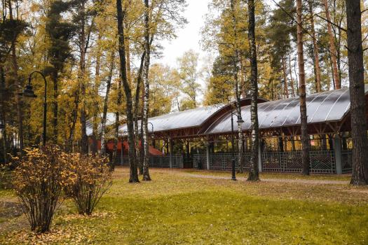 Детский лагерь «Enjoy Camp» English Level Up, Домодедово, «Ёлочки» - , купить путевку