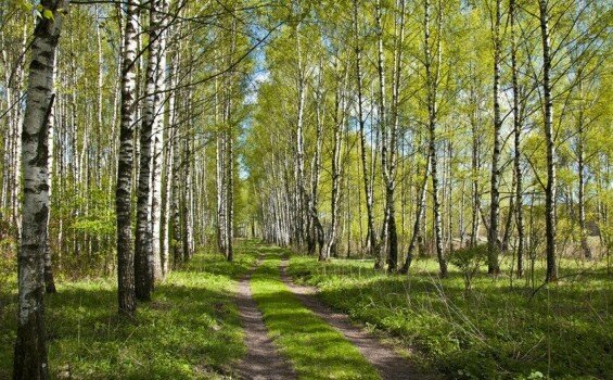 Детский лагерь