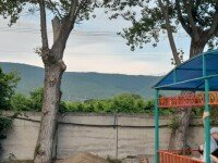 «Panda Camp», Новороссийск