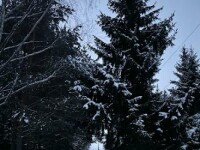 «Big Swim Camp», Яхрома