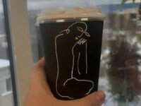 Городской лагерь «Английская языковая школа», Петрозаводск