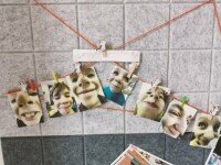 «Зимний лагерь в Новой Голландии», Санкт-Петербург