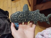 «Грани миров» Стражи огня, Обнинск