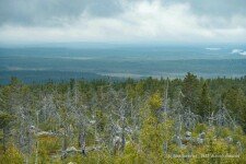 «Семейный лагерь», Абхазия