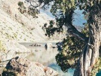 Семейный тур «Без рюкзаков», Республика Алтай