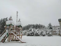 «Академия успеха», Ленинградская область